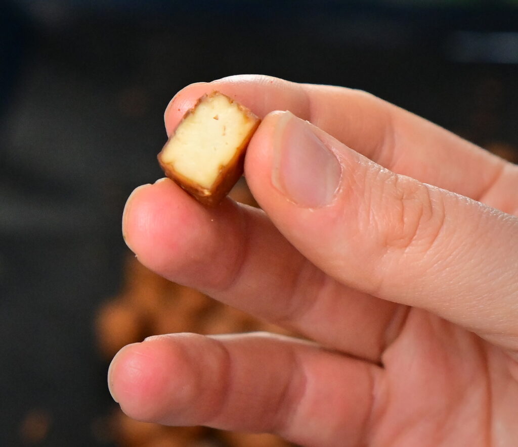 hand holding a cut open smoked tofu cube
