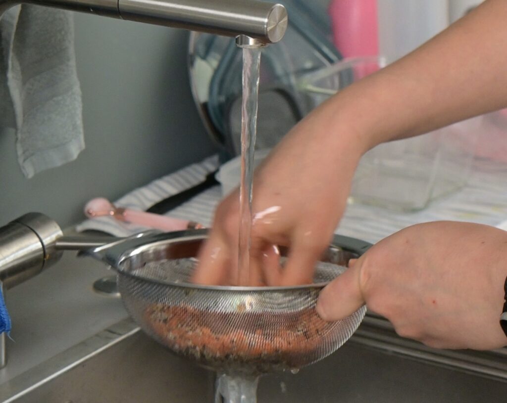 Rinse quinoa and lentils thoroughly under running water